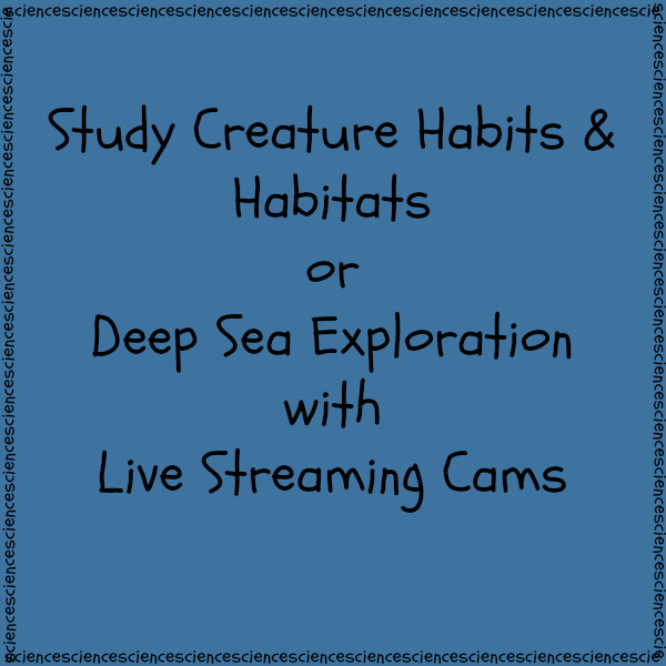 Study Creature Habits and Habitats or Deep Sea Exploration with Live Streaming Cams