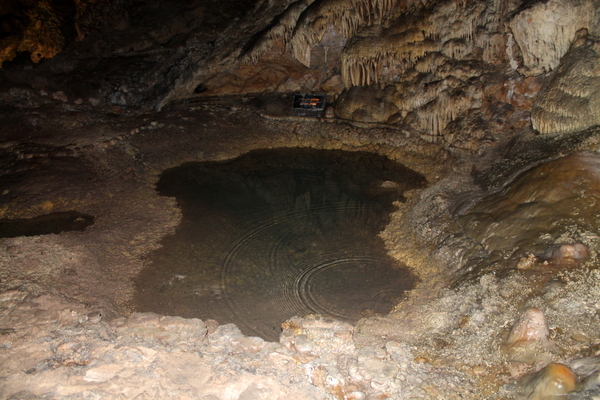 Carlsbad Caverns pools