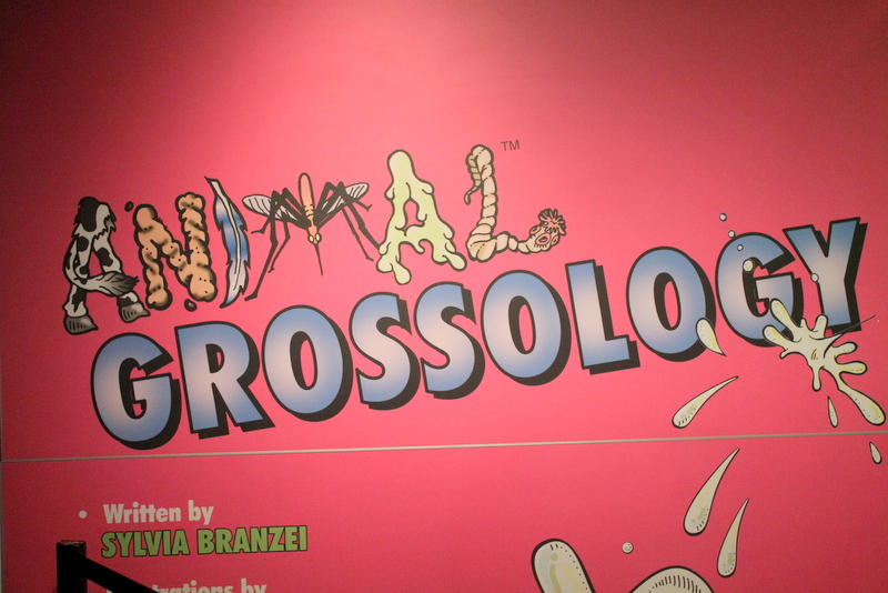 Animal Grossology - Academy of Natural Sciences Philly - No Classroom Walls