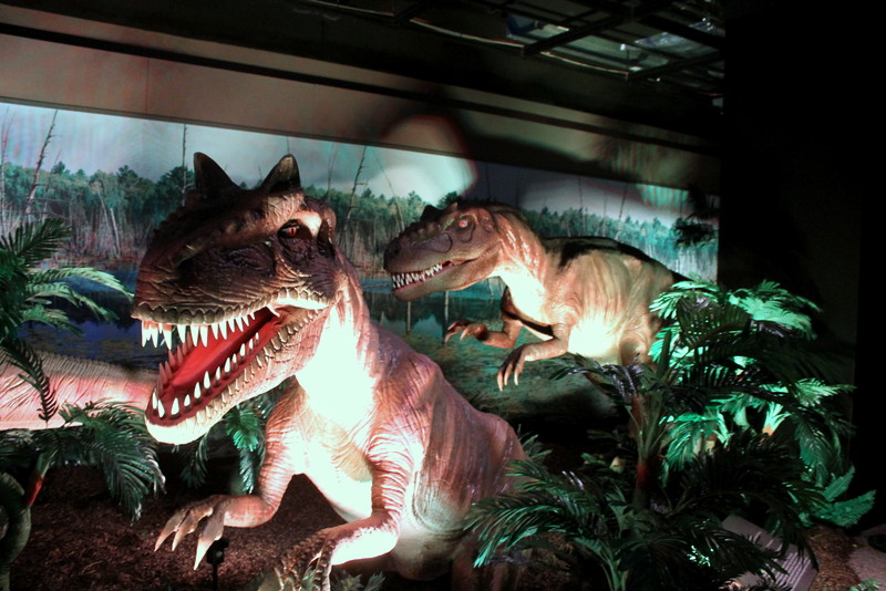 Dinosaurs Unearthed Exhibit at Academy of Natural Sciences of Drexel University